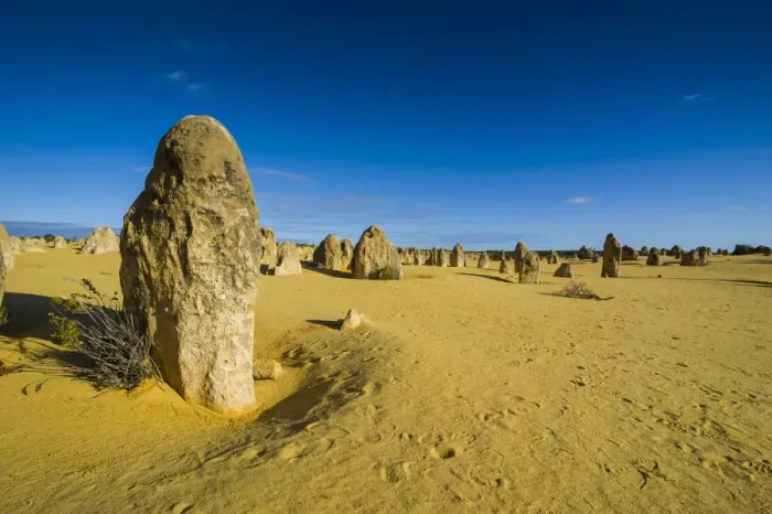 Framed Print : The Pinnacles limestone formations, Nambung National Park, Western Australia Framed Print : The Pinnacles limestone formations, Nambung National Park, Western Australia