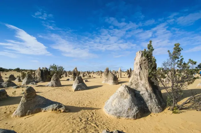 Framed Print : The Pinnacles limestone formations, Nambung National Park, Western Australia Framed Print : The Pinnacles limestone formations, Nambung National Park, Western Australia