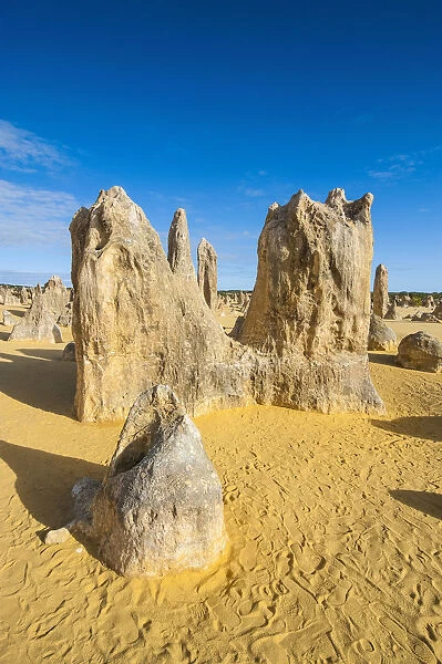 The Pinnacles limestone formations, Nambung National Park, Western Australia