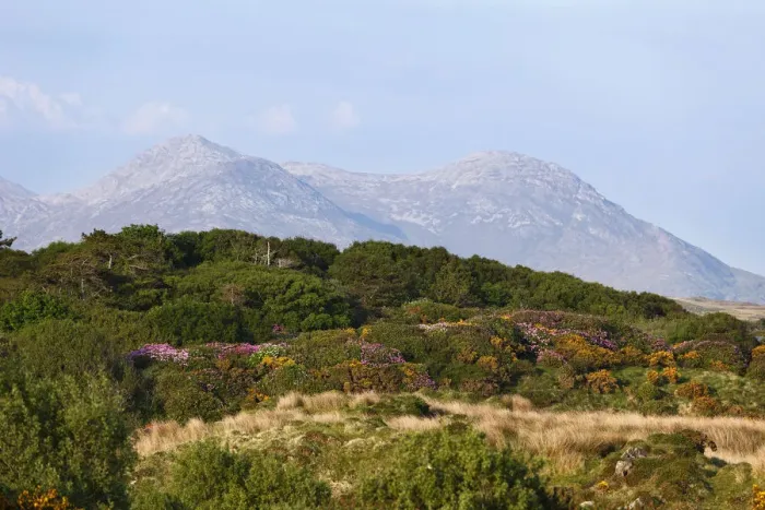 Framed Print : Twelve Pins, view from Bellanaboy, Connemara, County Galway, Republic of Ireland, Europe Framed Print : Twelve Pins, view from Bellanaboy, Connemara, County Galway, Republic of Ireland, Europe