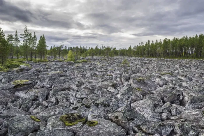 Framed Print : Plain covered in rocks, Jokkmokk, Norrbotten County, Sweden Framed Print : Plain covered in rocks, Jokkmokk, Norrbotten County, Sweden