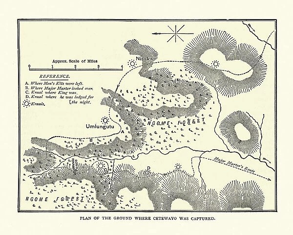 Plan of Ngome forest showing where Cetshwayo was captured