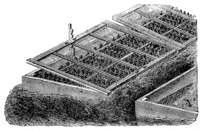Framed Print : Plant nursery