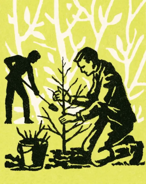 Framed Print : Planting a tree Framed Print : Planting a tree