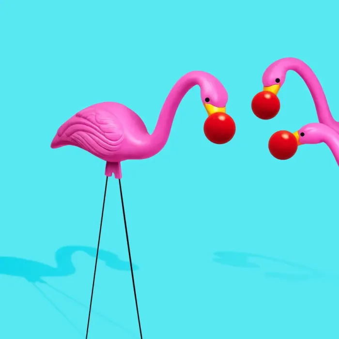 Framed Print : Three plastic flamingos wearing red noses