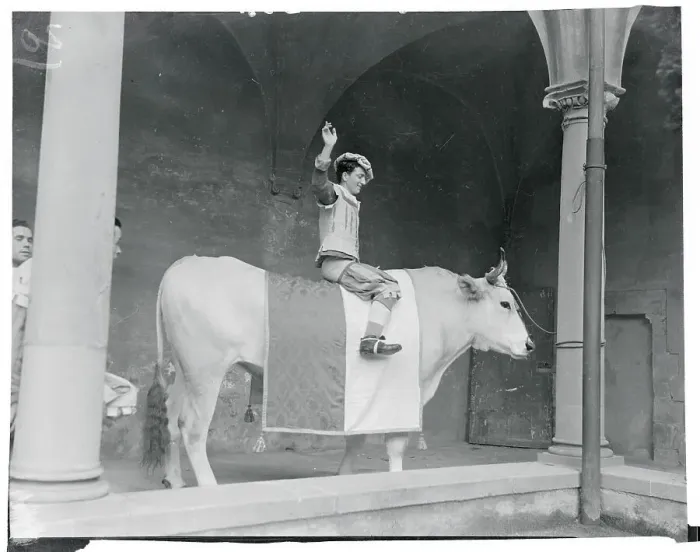 Framed Print : Player Sitting Upon a Steed Framed Print : Player Sitting Upon a Steed