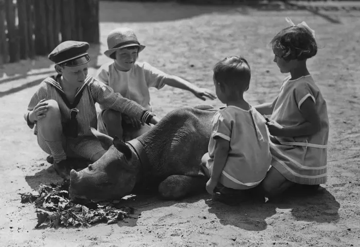Framed Print : Playing with A Baby Rhino Framed Print : Playing with A Baby Rhino