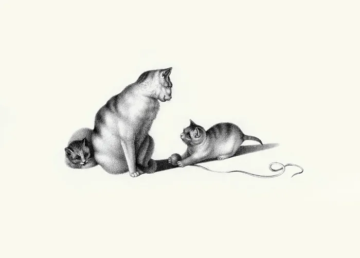 Framed Print : Playing with String Framed Print : Playing with String