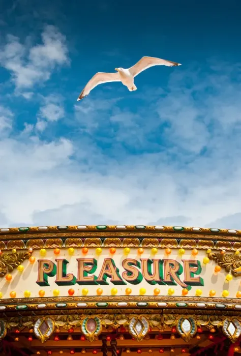 Framed Print : Pleasure. Seagull flying in patch of blue sky above carousel with word Framed Print : Pleasure. Seagull flying in patch of blue sky above carousel with word