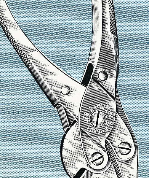 Pliers. http: /  / csaimages.com / images / istockprofile / csa_vector_dsp.jpg