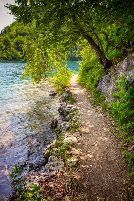 Framed Print : Plitvice Lakes Framed Print : Plitvice Lakes