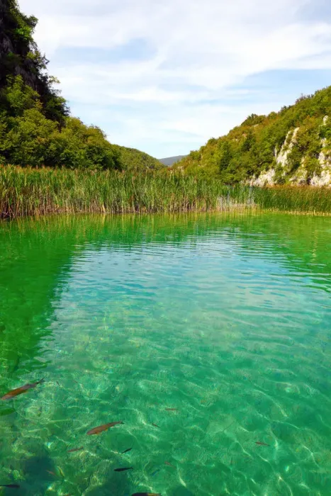 Framed Print : Plitvice Lakes National Park Framed Print : Plitvice Lakes National Park
