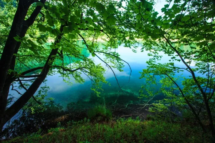 Framed Print : Plitvice lakes National Park Framed Print : Plitvice lakes National Park