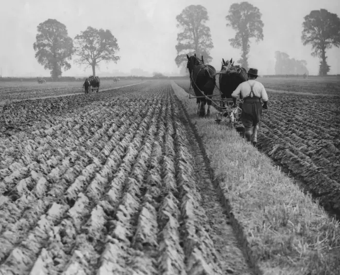Framed Print : Ploughing Competition Framed Print : Ploughing Competition