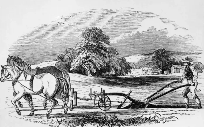 Framed Print : Ploughing The Field Framed Print : Ploughing The Field