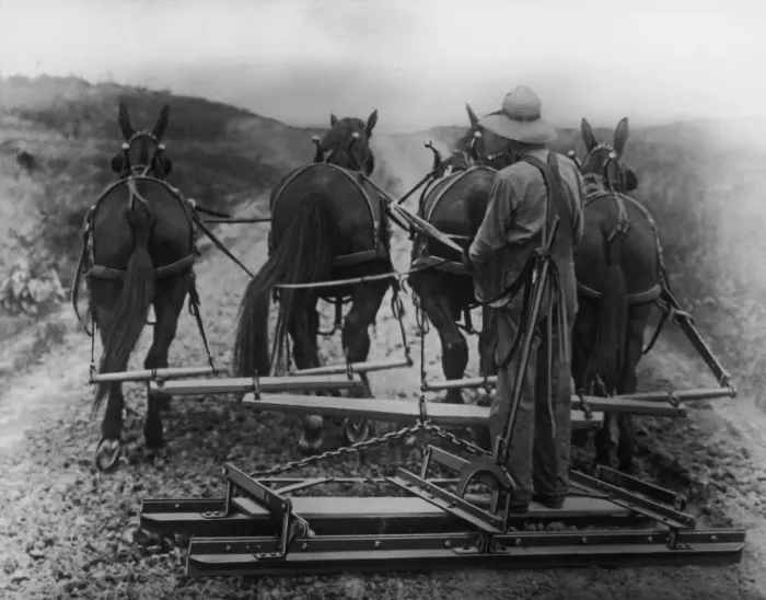 Framed Print : Ploughing Home Framed Print : Ploughing Home