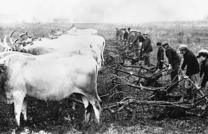 Framed Print : Ploughmen at Work Framed Print : Ploughmen at Work