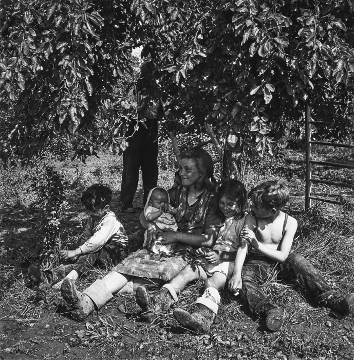 Framed Print : Plum-Picking Season 1942 Framed Print : Plum-Picking Season 1942