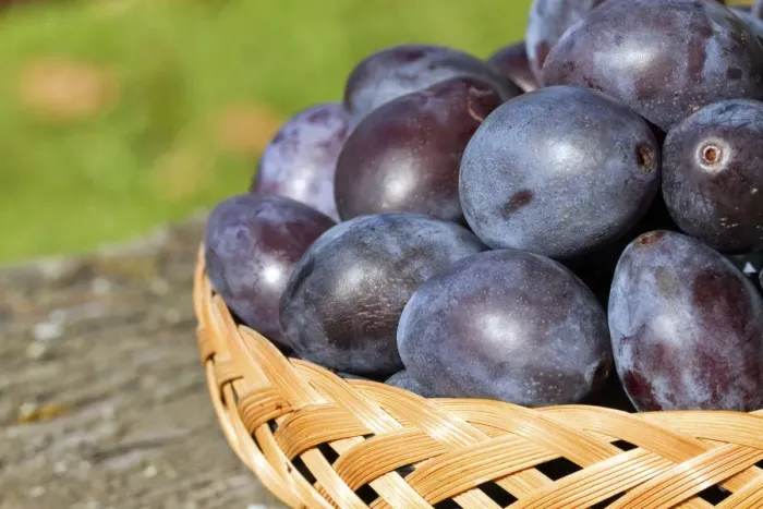 Framed Print : Plums in a basket