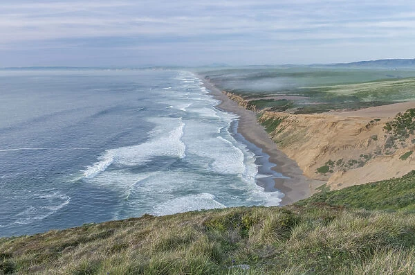 Point Reyes Beach seen from hill, Point Reyes National Seashore, California, USA