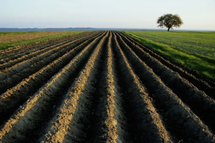 Framed Print : Poland, Roztocze, plowed field Framed Print : Poland, Roztocze, plowed field