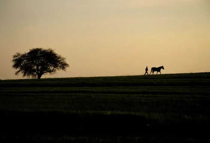 Framed Print : Poland, Roztocze, silhouette of farmer plowing field, sunset