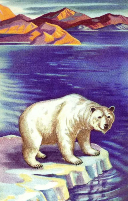 Framed Print : Polar Bear Framed Print : Polar Bear