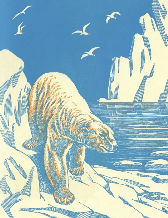 Framed Print : Polar Bear on Iceberg Framed Print : Polar Bear on Iceberg