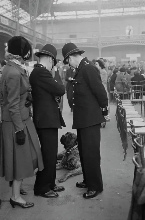 Framed Print : Police At Crufts Framed Print : Police At Crufts