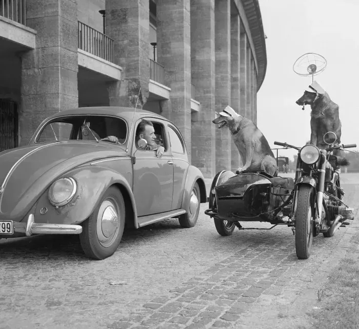 Framed Print : Police Dogs Riding in a Motorbike Framed Print : Police Dogs Riding in a Motorbike