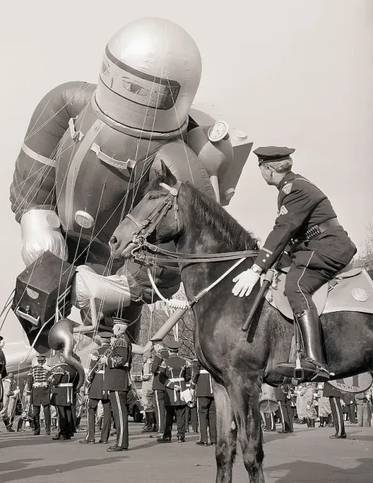 Framed Print : Police Officer Steadies Horse at Parade Framed Print : Police Officer Steadies Horse at Parade