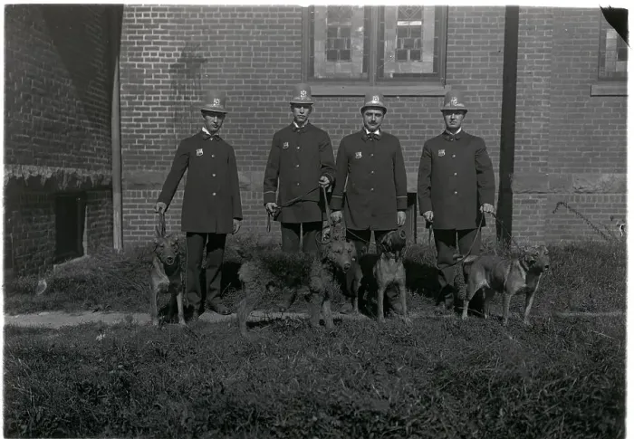 Framed Print : Police Officers with Police Dogs Framed Print : Police Officers with Police Dogs