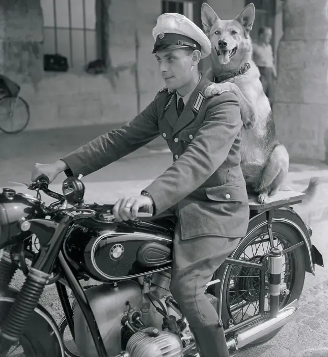 Framed Print : Policeman and His Dog Riding Together on a Motorcycle