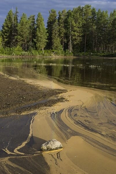 Pollen form patterns in the Saggat Lake near the island of Arrenjarka, Kvikkjokk, Norrbotten County, Sweden