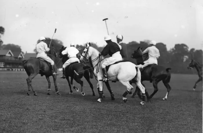 Framed Print : Polo Ponies