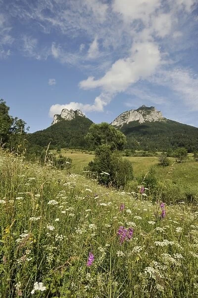 Poludnove Skaly Mountain on the left and Velky Roszutek Mountain on the right, 1609m, Stefanova, Mala Fatra National Park, Slovakia, Europe
