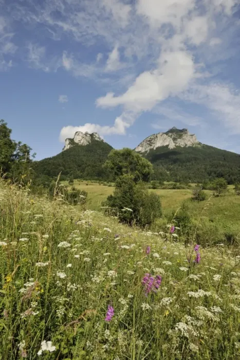 Framed Print : Poludnove Skaly Mountain on the left and Velky Roszutek Mountain on the right, 1609m, Stefanova, Mala Fatra National Park, Slovakia, Europe Framed Print : Poludnove Skaly Mountain on the left and Velky Roszutek Mountain on the right, 1609m, Stefanova, Mala Fatra National Park, Slovakia, Europe