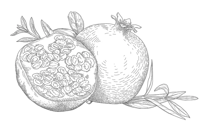 Framed Print : Pomegranates