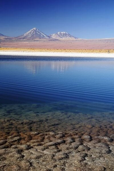 Pond in the Atacama Desert in Chile