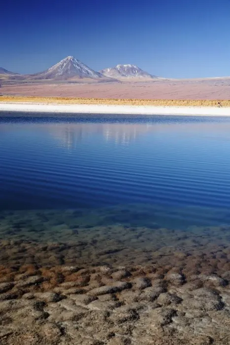 Framed Print : Pond in the Atacama Desert in Chile Framed Print : Pond in the Atacama Desert in Chile