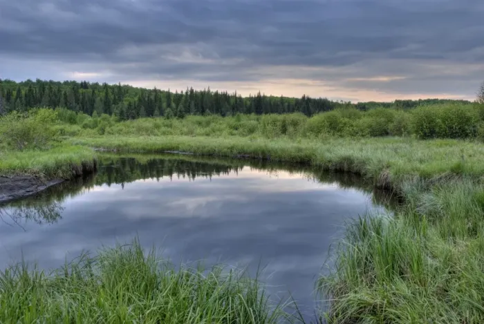 Framed Print : A Pond At Sunset In Prince Albert National Park