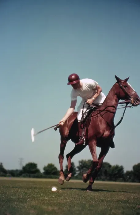 Framed Print : PONY CLUB. UNIONVILLE, PA - CIRCA 1958: A rider swings his polo mallet Framed Print : PONY CLUB. UNIONVILLE, PA - CIRCA 1958: A rider swings his polo mallet