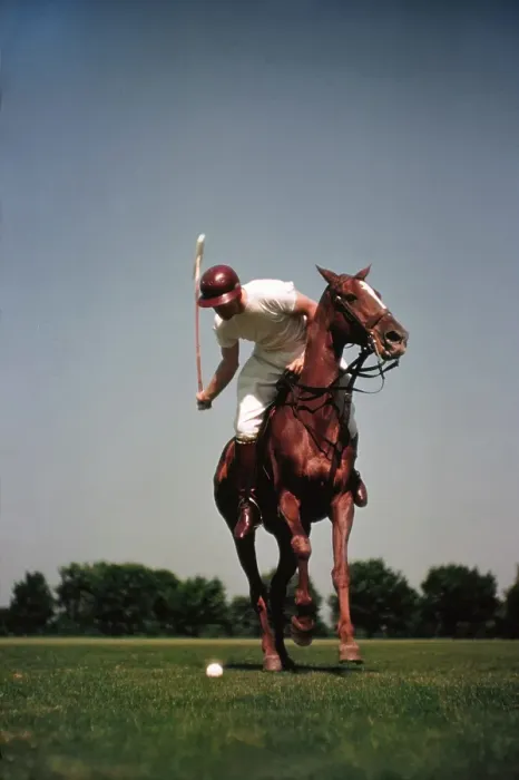 Framed Print : PONY CLUB. UNIONVILLE, PA - CIRCA 1958: A rider swings his polo mallet Framed Print : PONY CLUB. UNIONVILLE, PA - CIRCA 1958: A rider swings his polo mallet