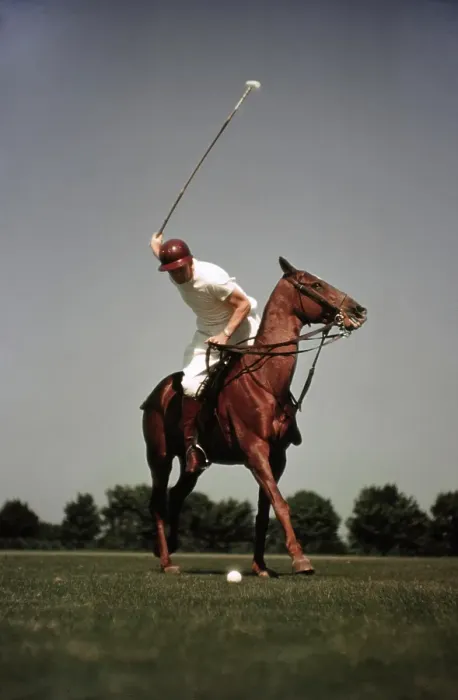Framed Print : PONY CLUB. UNIONVILLE, PA - CIRCA 1958: A rider swings his polo mallet Framed Print : PONY CLUB. UNIONVILLE, PA - CIRCA 1958: A rider swings his polo mallet