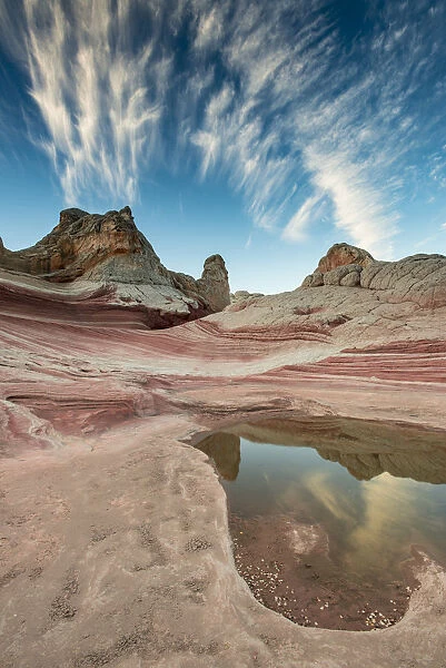 Pool reflection and sandstone landscape, Vermillion Cliffs, White Pocket wilderness, Arizona, USA