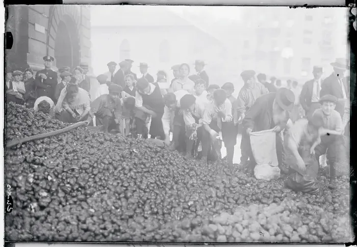 Framed Print : Poor Picking Potatoes Framed Print : Poor Picking Potatoes