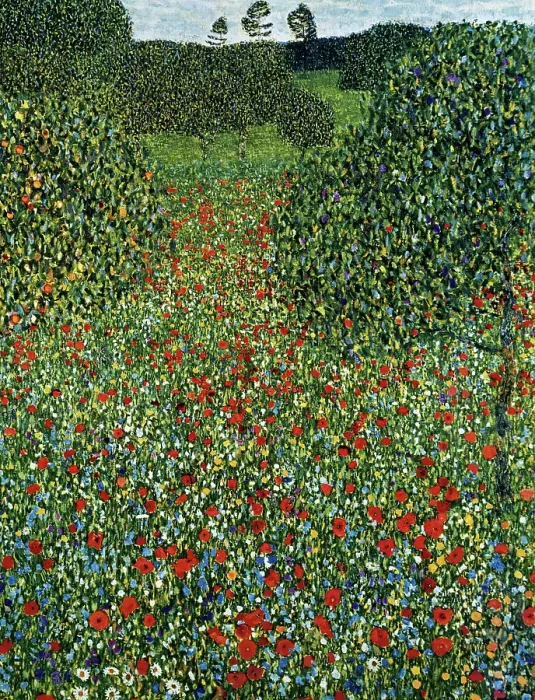 Framed Print : Poppy Field