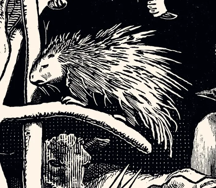 Framed Print : PORCUPINE (XXXL) Framed Print : PORCUPINE (XXXL)