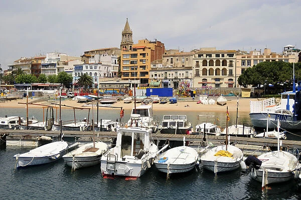 Port of the fishing town of Palamos, Costa Brava, Spain, Iberian Peninsula, Europe