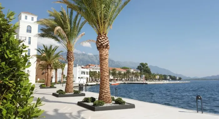 Framed Print : Porto Montenegro Framed Print : Porto Montenegro